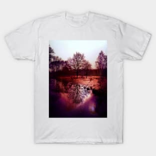 Tree Reflection T-Shirt